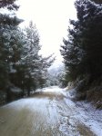 DSC00126.jpg