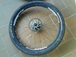 DSC00565.jpg