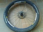 DSC00566.jpg