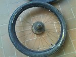DSC00567.jpg