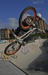_MG_8547.jpg