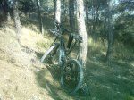 sabado 2-2-08 002.jpg