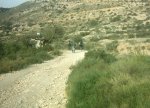 La DolÃ§a 3-2-08 002.jpg