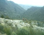 La DolÃ§a 3-2-08 005.jpg