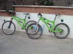 Mojos Verdes.JPG