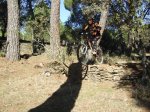 fotos locos 296 (Medium).jpg