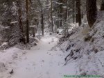 02022008139%20%28Large%29[1].jpg