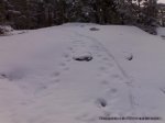 02022008141%20%28Large%29[1].jpg