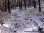 02022008145%20%28Large%29[1].jpg
