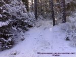 02022008148%20%28Large%29[1].jpg