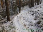 02022008149%20%28Large%29[1].jpg