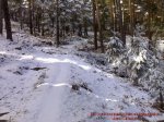 02022008150%20%28Large%29[1].jpg