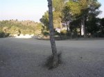 SANY0007 (Small).JPG