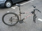 bici llegada.jpg