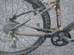 bici llegada 2.jpg