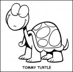 tortu1.jpg