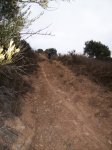 100_0017.JPG