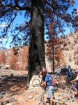 GC EN BICI-0.jpg