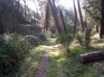 DSCN4236.JPG