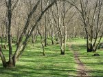 DSCN4239.JPG