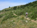 IMG_1307.jpg