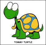 tortu2.jpg