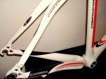 carrera cuadro 1.JPG