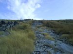 DSC00014.jpg