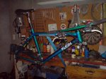 DSC00378.JPG