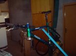 DSC00379.JPG