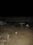 IMG_6181tn_.jpg