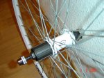 DSC02544.jpg