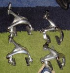 DSC08009.JPG