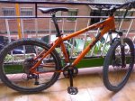 Bici.jpg