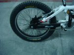 DSC00784.jpg
