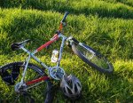 DSC00675.JPG