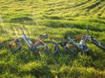 DSC00679.JPG