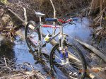 DSCN2331.jpg