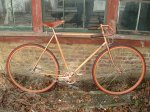9bikewood2a.JPG