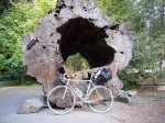 9logbikea.JPG