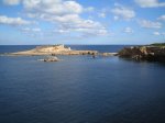 IMG_9504.jpg
