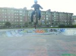 DSC00779.jpg
