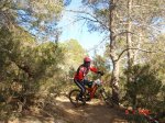 DSC07635.JPG