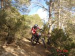 DSC07645.JPG