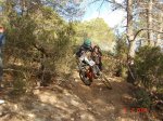 DSC07647.JPG