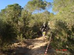 DSC07674.JPG