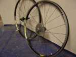 DSC01155.JPG