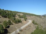 DSC04552_resize.JPG