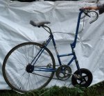 7 biciwooden12.jpg