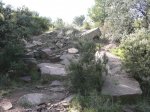 la 69 y la tope gama 018b.jpg
